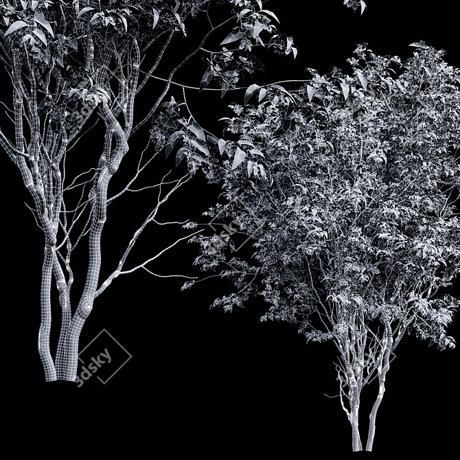 Amelanchier lamarckii 3D Tree Models 3D model image 4
