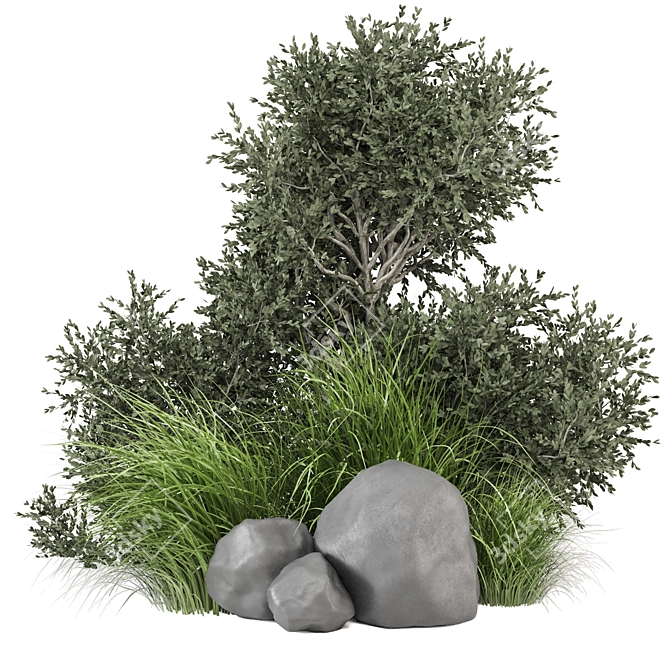 Outdoor Bush Plants Set 685 3D model image 1