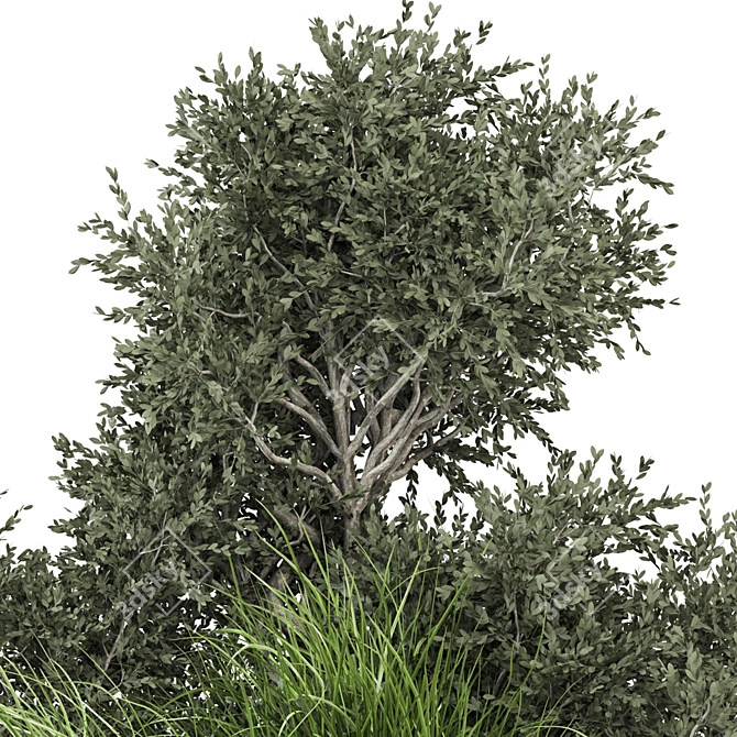 Outdoor Bush Plants Set 685 3D model image 4