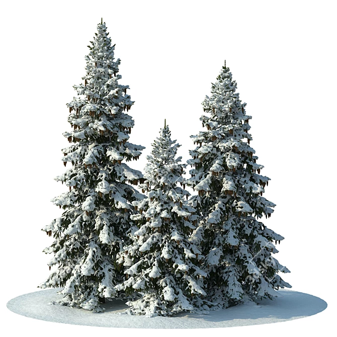 Snowy Winter Spruces Scene 3D model image 6