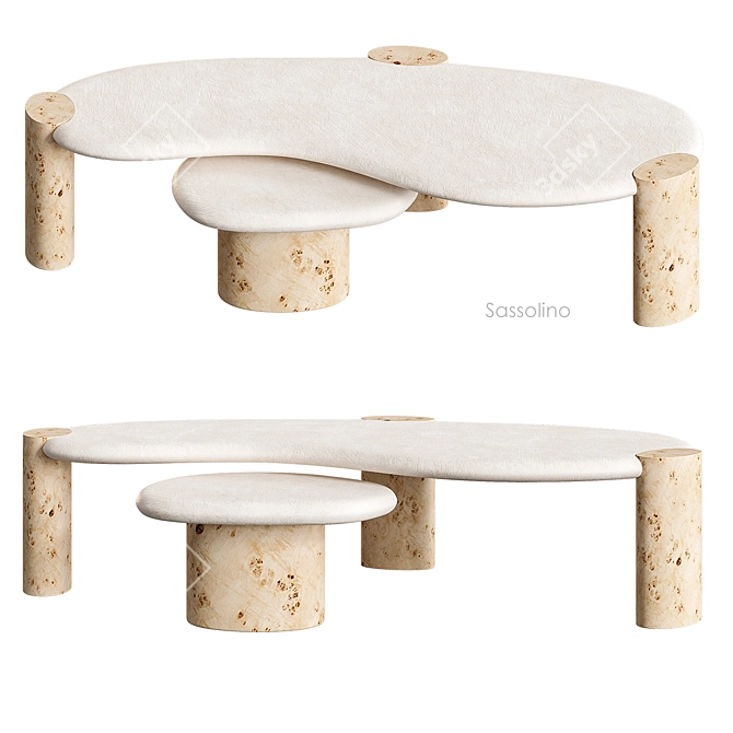 Sassolino Concrete Burl Wood Tables 3D model image 2