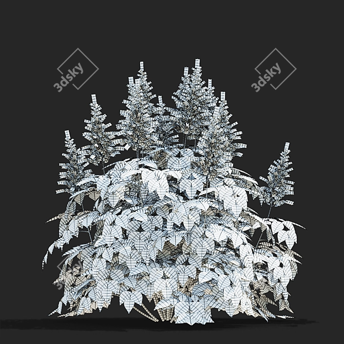 Japanese Pink Astilbe Collection 3D model image 5