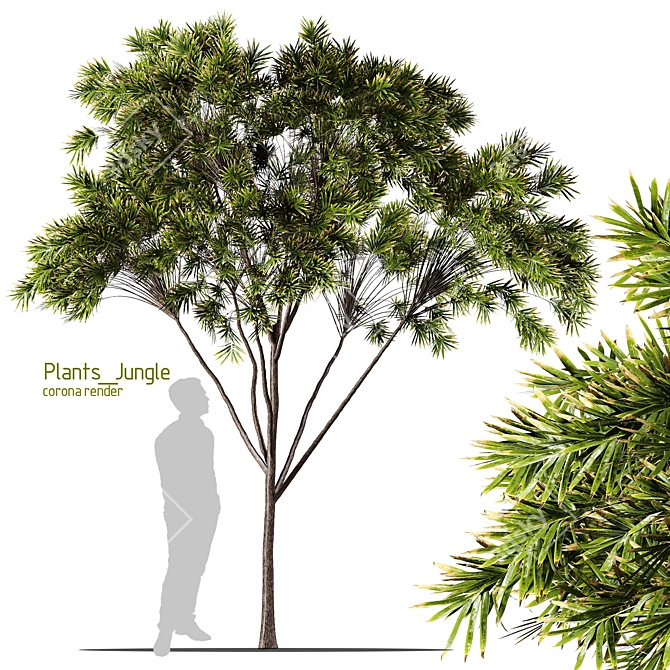 Tropical Greenery Assets Set 3D model image 1