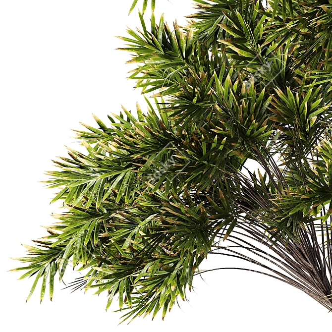 Tropical Greenery Assets Set 3D model image 2
