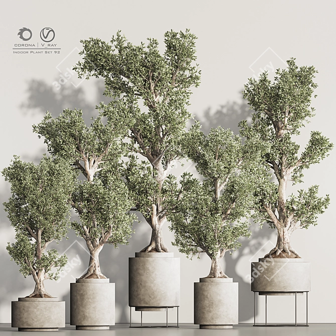 Greenery Haven Set - 3D Indoor Plants 3D model image 1