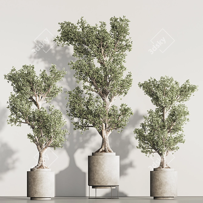 Greenery Haven Set - 3D Indoor Plants 3D model image 2
