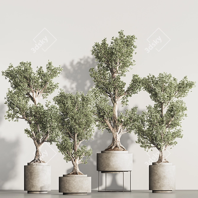 Greenery Haven Set - 3D Indoor Plants 3D model image 3