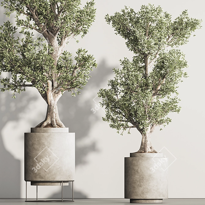 Greenery Haven Set - 3D Indoor Plants 3D model image 4