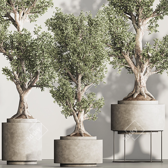 Greenery Haven Set - 3D Indoor Plants 3D model image 5