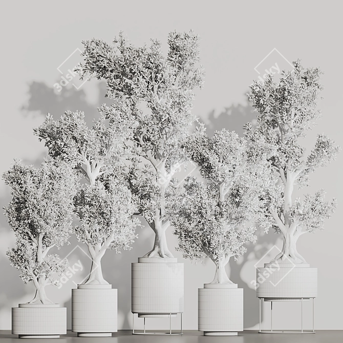 Greenery Haven Set - 3D Indoor Plants 3D model image 7