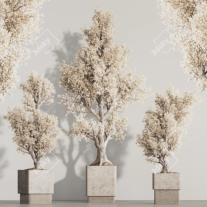 Versatile Dry Indoor Plant Set 3D model image 2