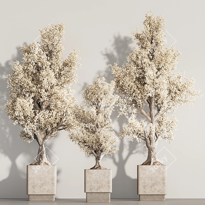 Versatile Dry Indoor Plant Set 3D model image 3
