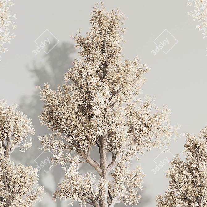Versatile Dry Indoor Plant Set 3D model image 6