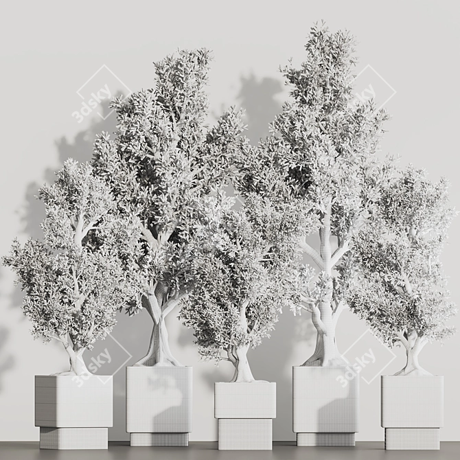 Versatile Dry Indoor Plant Set 3D model image 7