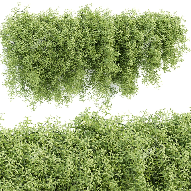 Modern Hanging Wall Plants Vol 171 3D model image 1