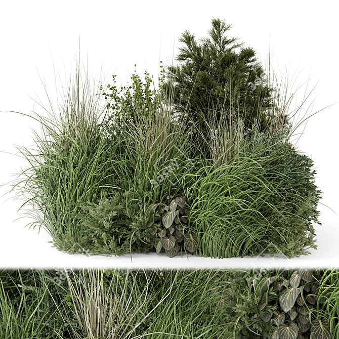 Outdoor Plants Bush Set 1273 3D model image 1