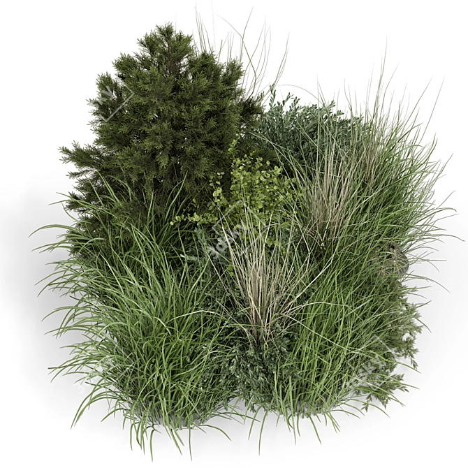 Outdoor Plants Bush Set 1273 3D model image 2