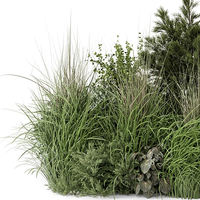 Outdoor Plants Bush Set 1273 3D model image 3
