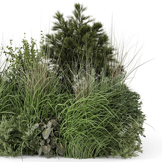 Outdoor Plants Bush Set 1273 3D model image 4