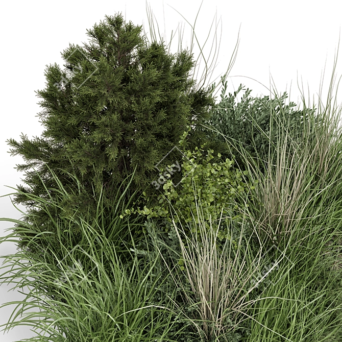 Outdoor Plants Bush Set 1273 3D model image 5