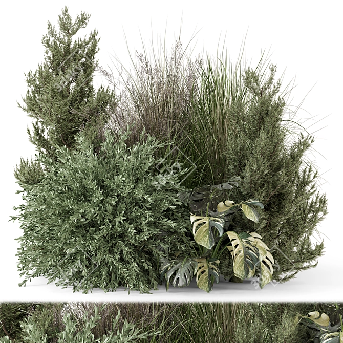 Outdoor Bush Plant Set 1274 3D model image 1