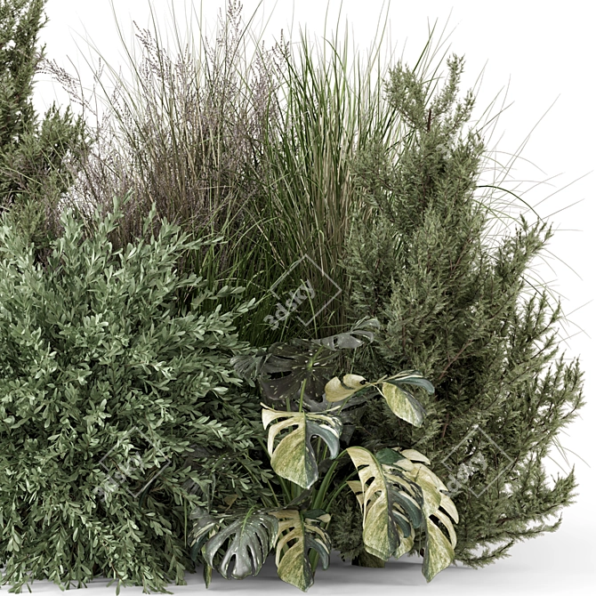 Outdoor Bush Plant Set 1274 3D model image 2