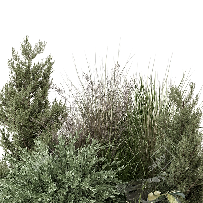 Outdoor Bush Plant Set 1274 3D model image 3