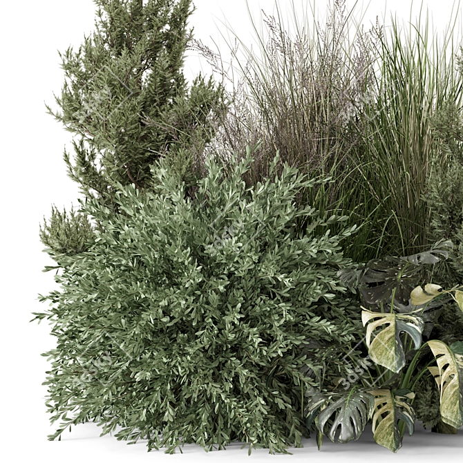 Outdoor Bush Plant Set 1274 3D model image 4