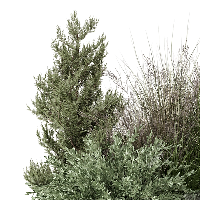 Outdoor Bush Plant Set 1274 3D model image 5