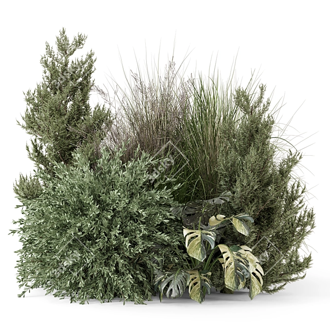 Outdoor Bush Plant Set 1274 3D model image 6