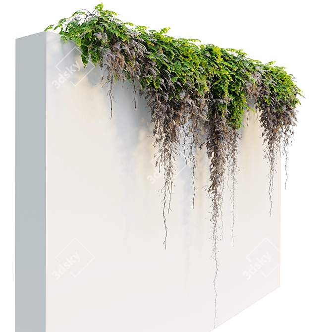 Triple Hanging Plant Set 3D model image 3