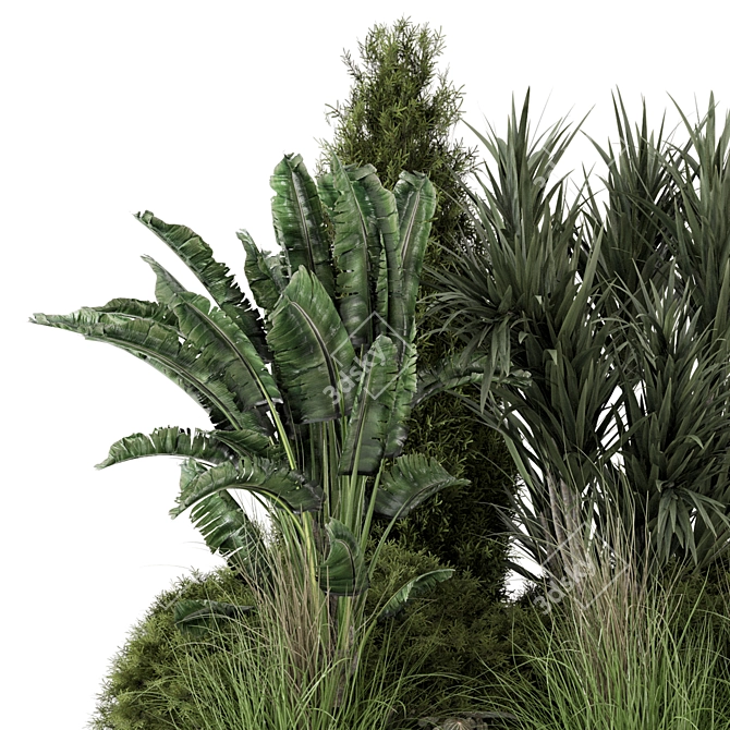 Title: Premium Outdoor Plants Bush Set 3D model image 2