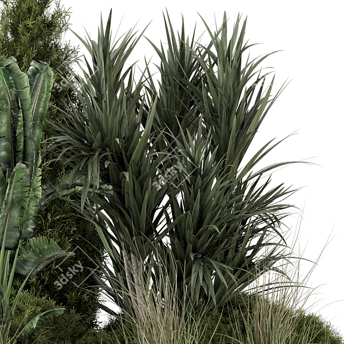 Title: Premium Outdoor Plants Bush Set 3D model image 3