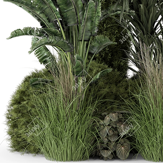 Title: Premium Outdoor Plants Bush Set 3D model image 4