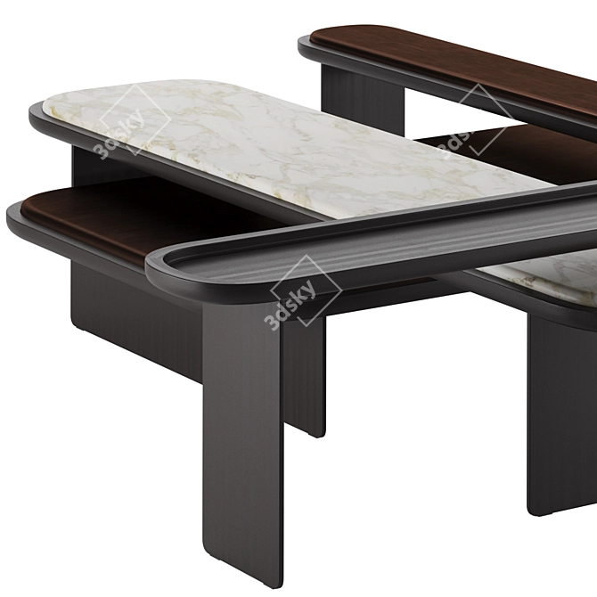 Modern Chic Vray Coffee Table 3D model image 3