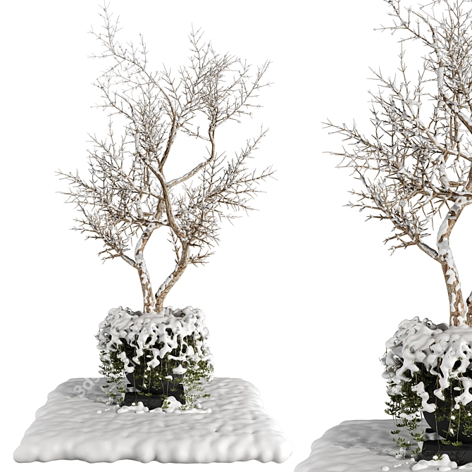 Outdoor Plants 2 Snow Decoration 3D model image 1