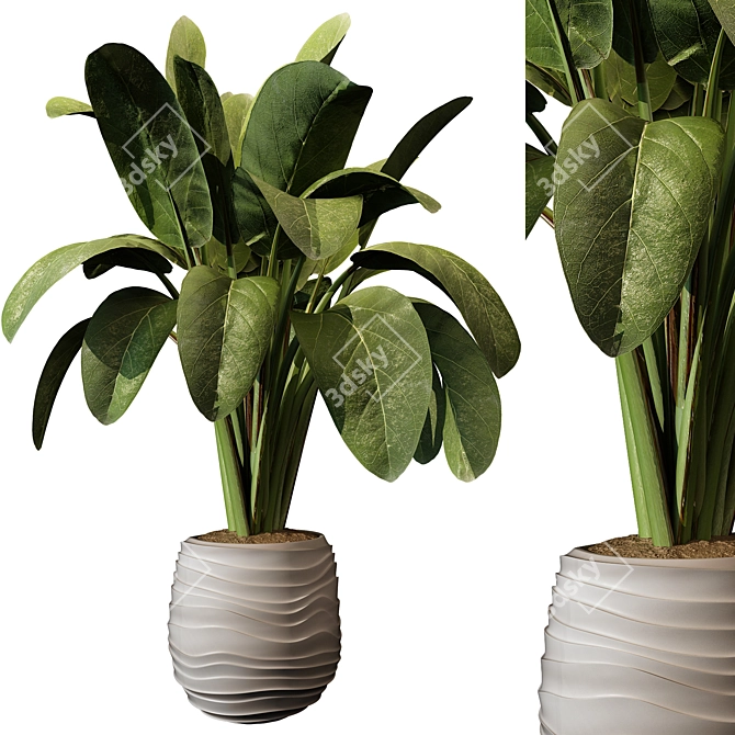 Modern Indoor Plant 220 Décor 3D model image 1
