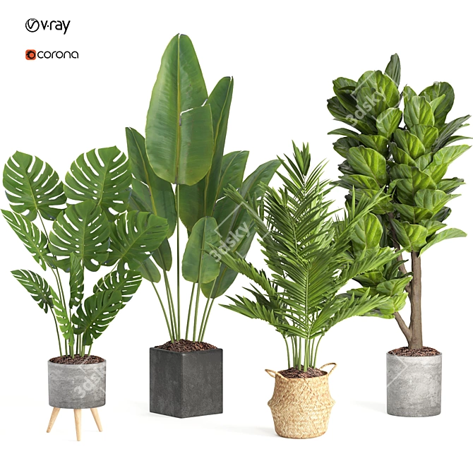 Modern Indoor Plant Collection Set 3D model image 1