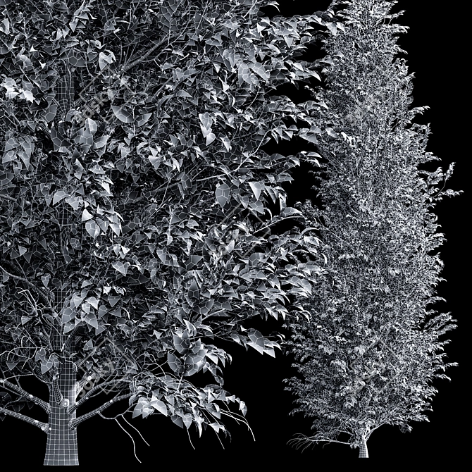 Dual 3D Tree Models Bundle 3D model image 4