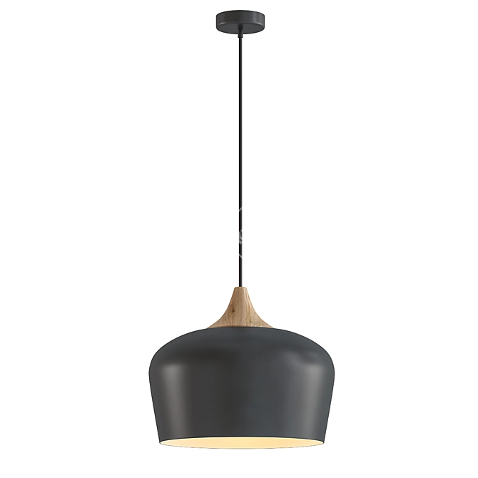 Sleek Nordic Pendant Lighting 3D model image 1