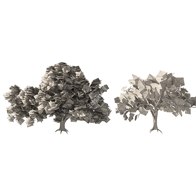 American Elm Trees 3D Model 3D model image 5
