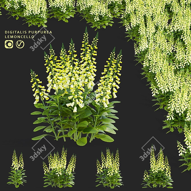 Lemoncello Digitalis Flower Collection 3D model image 1