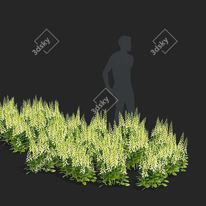 Lemoncello Digitalis Flower Collection 3D model image 2