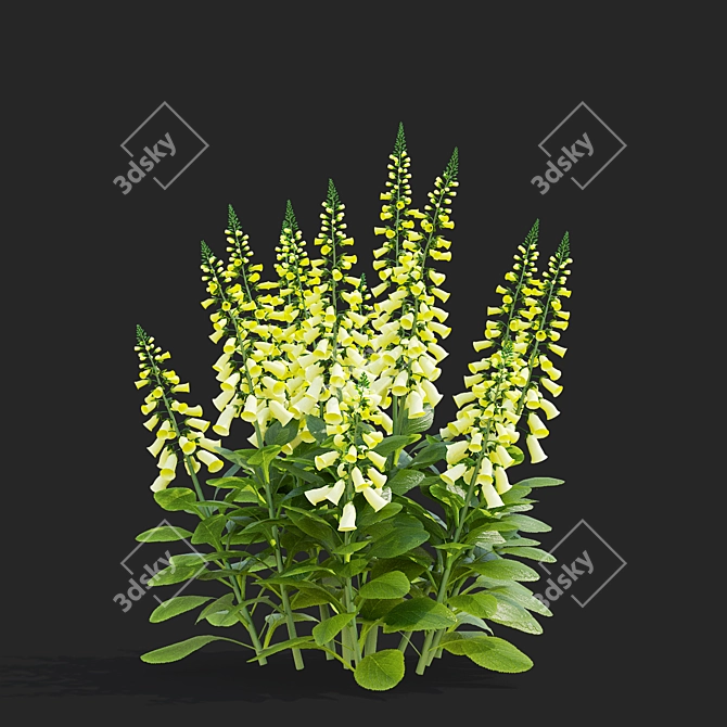 Lemoncello Digitalis Flower Collection 3D model image 4