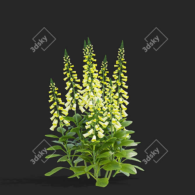 Lemoncello Digitalis Flower Collection 3D model image 5