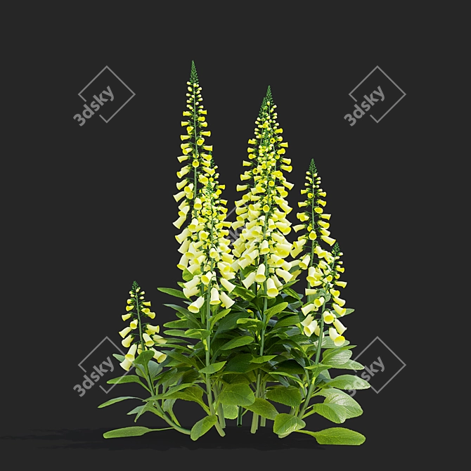 Lemoncello Digitalis Flower Collection 3D model image 6