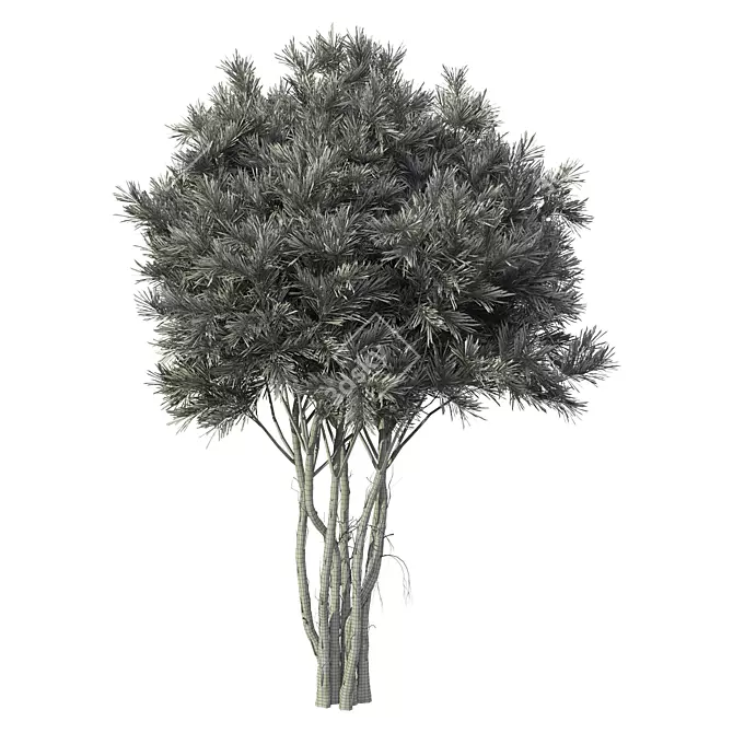 Premium Pine Tree No.15 Scenery 3D model image 2