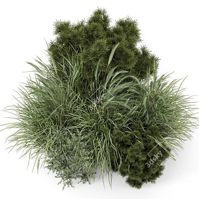 Outdoor Bush Collection - 3D Models 3D model image 5