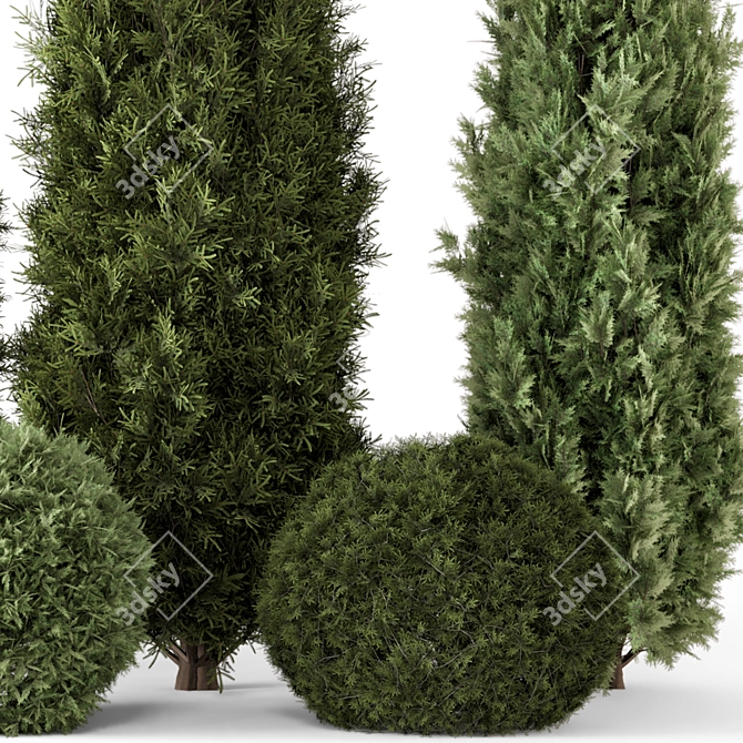 Bush Set 1301 3D Models 3D model image 3