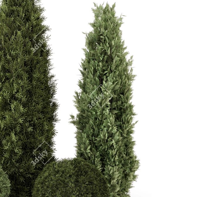 Bush Set 1301 3D Models 3D model image 5